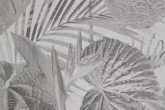 1000078504
