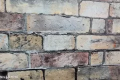 1000078593