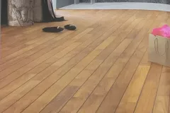 1000078711